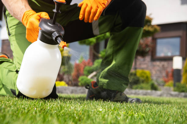Best Local Pest Control Services  in Greenfield, IA