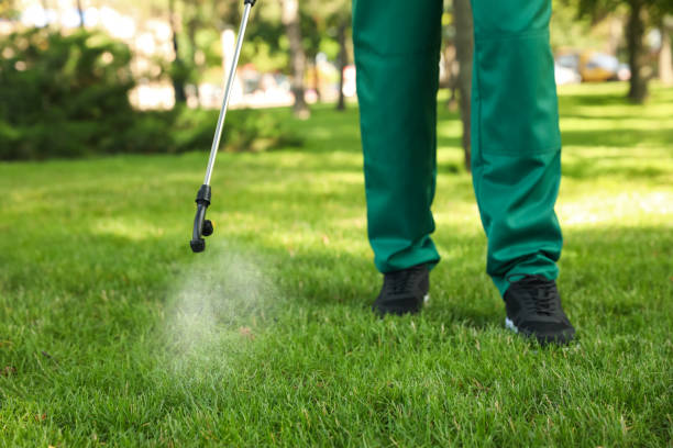 Trusted Greenfield, IA Pest Control Experts