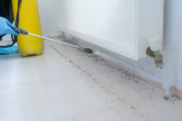 Best Pest Prevention Services  in Greenfield, IA