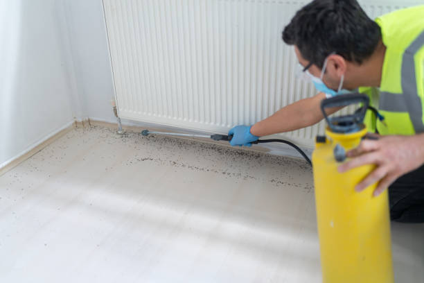 Best Wasp Removal Services  in Greenfield, IA