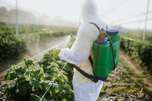 Best Commercial Pest Control Services  in Greenfield, IA